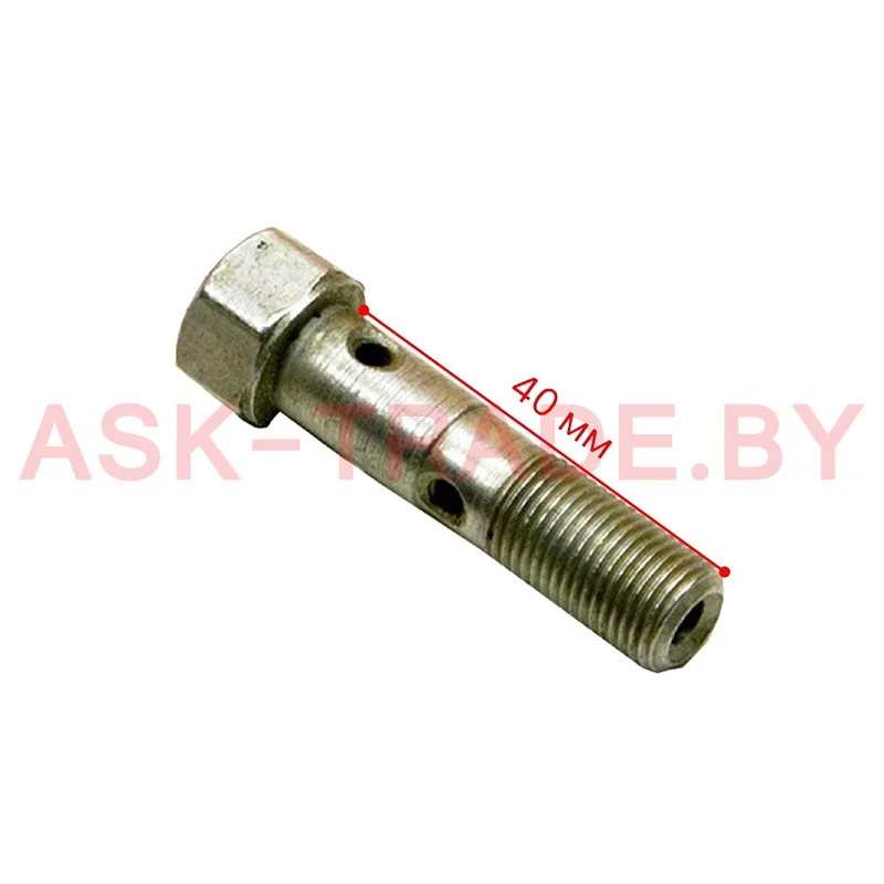 Болт топл. трубки М10*1*40  310239-П29